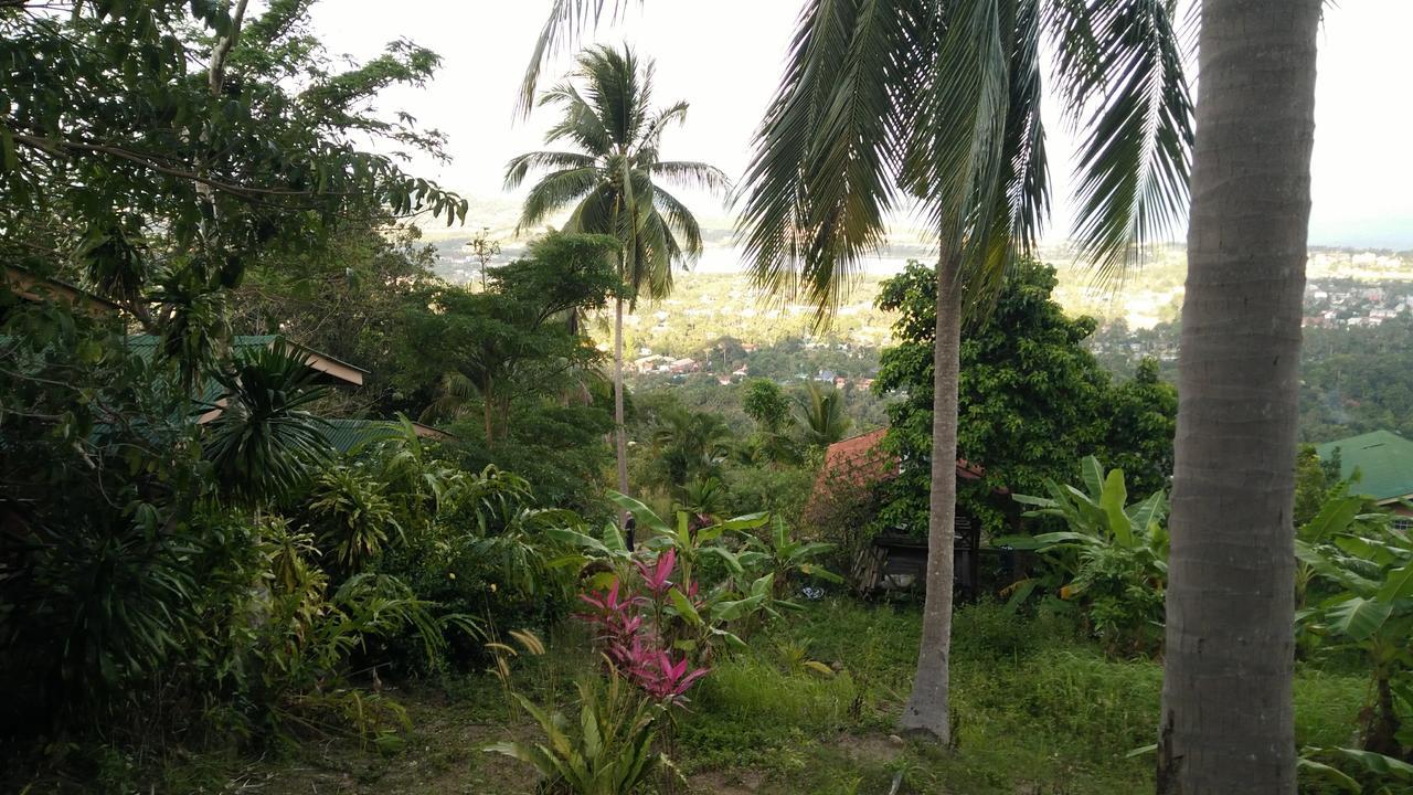 Perfect Sea View Mountain Villa Koh Samui 查汶海滩 外观 照片