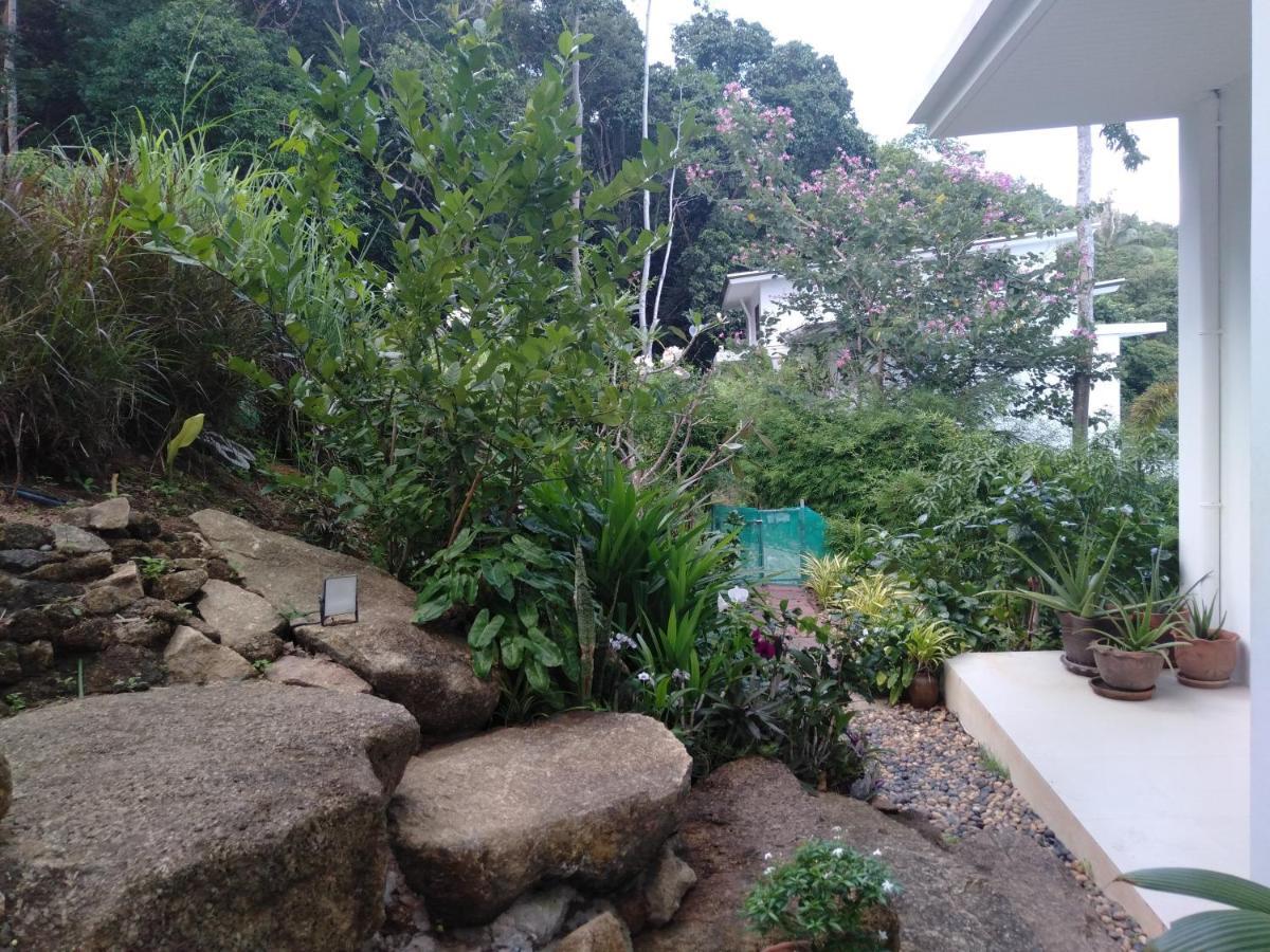 Perfect Sea View Mountain Villa Koh Samui 查汶海滩 外观 照片
