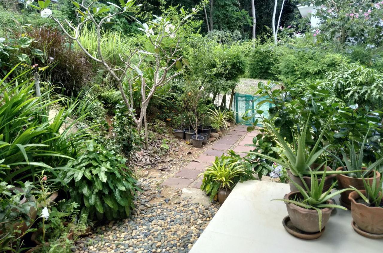 Perfect Sea View Mountain Villa Koh Samui 查汶海滩 外观 照片