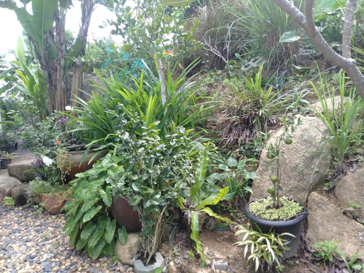 Perfect Sea View Mountain Villa Koh Samui 查汶海滩 外观 照片